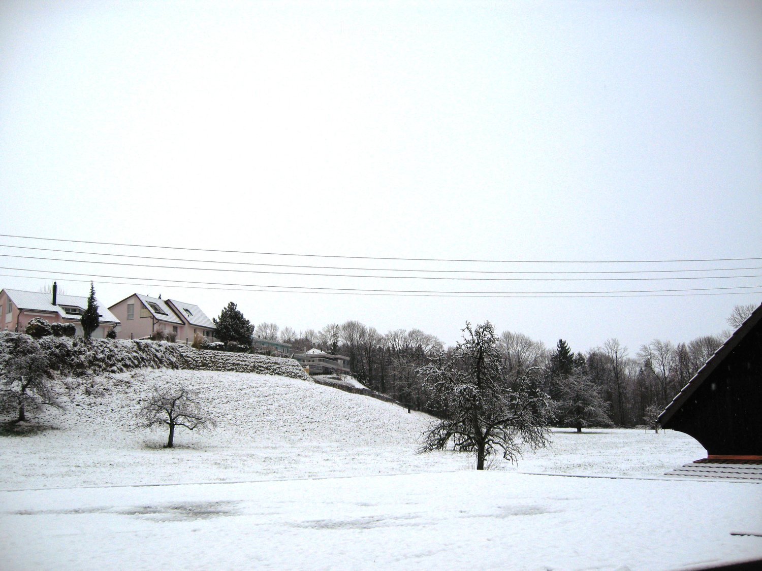 Snow-covered landscape with trees, houses, and a raised ground area in the background.