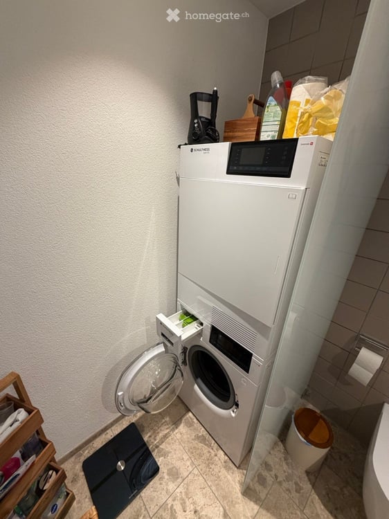 Moderne 4.5-Zimmer-Wohnung an der Seestrasse 9 in Horgen 15