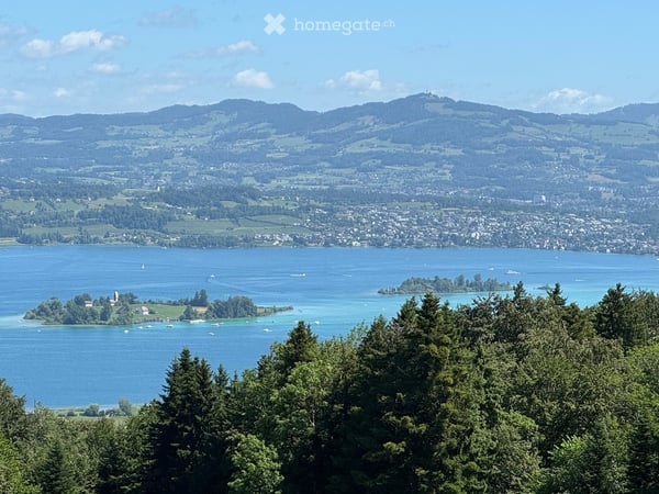 Charmante 4.5-Zimmer-Attikawohnung mit Panoramablick in Feusisberg 10