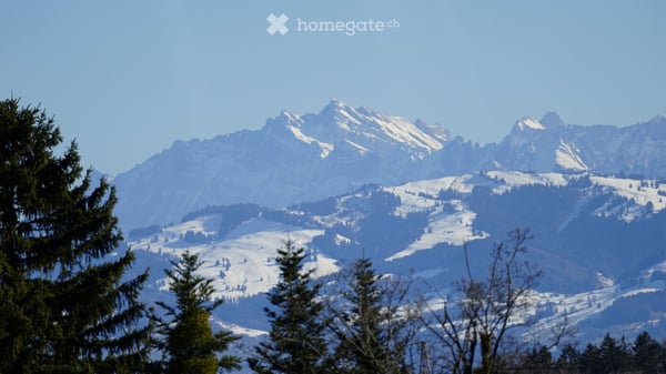Charmante 4.5-Zimmer-Attikawohnung mit Panoramablick in Feusisberg 12