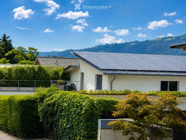 Einfamilienhaus mit Pool und Aussicht in Meierskappel 3