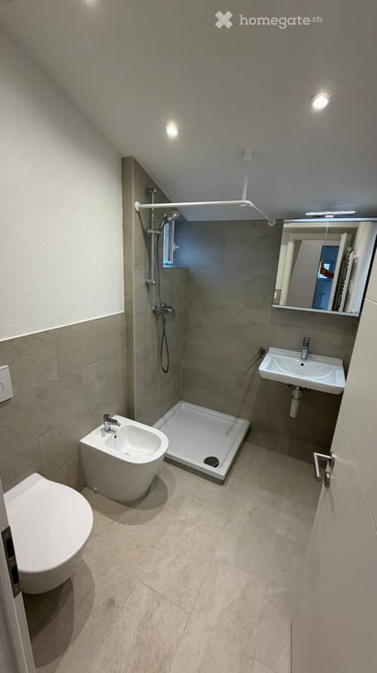 Charmante 3.5-Zimmer-Dachwohnung in Zizers – modern renoviert mit Balkon und schöner Aussicht 5