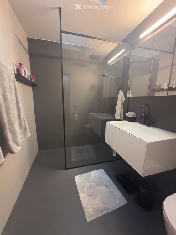 Modernes 6.5-Zimmer-Reihenhaus mit Garten und Seesicht in Hünenberg See 5