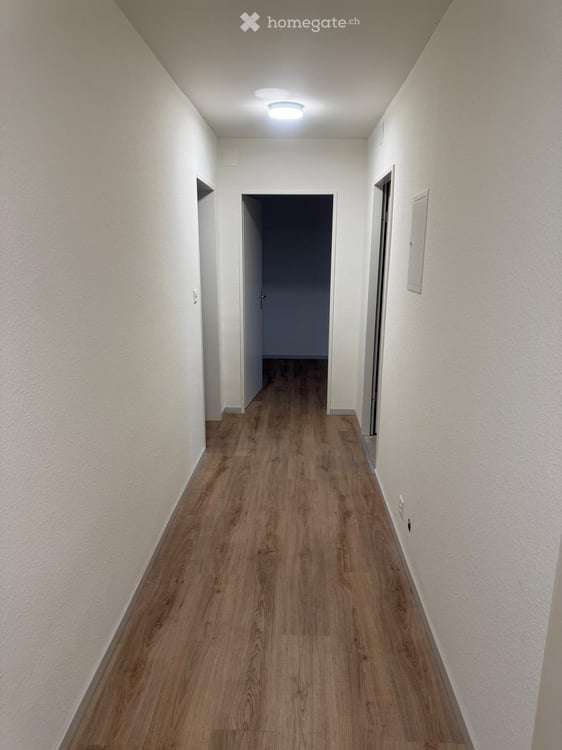 Charmante 4-Zimmer-Altbauwohnung mit 2 Balkonen in Basel – ab September 2026 6
