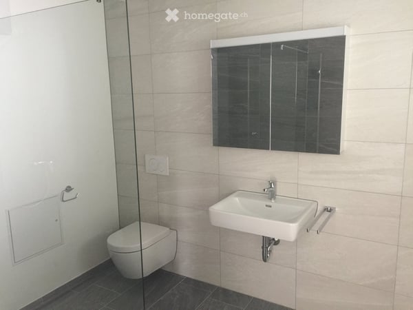 Helle 2.5-Zimmer-Wohnung mit Balkon in Birsfelden – ab September 2026 7