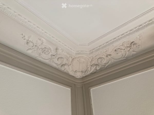Repräsentative Büro- und Praxisräume in historischer Villa an der Dolderstrasse 6