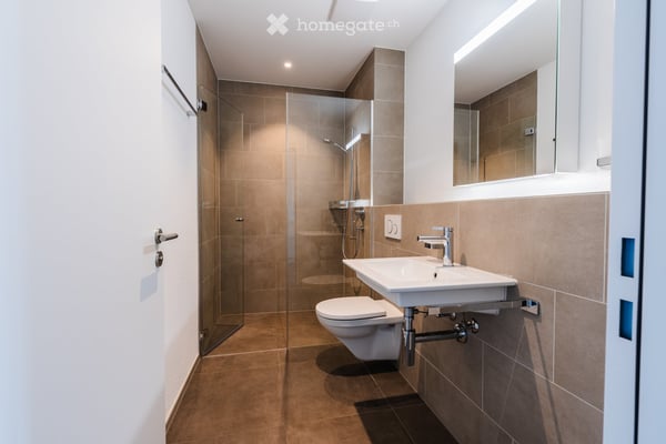 Modernes 5.5-Zimmer-Einfamilienhaus in Meierskappel 3
