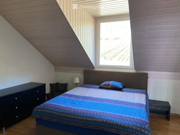 UNIQUE, attique de 140m2 avec vue imprenable sur tout le lac et les alpes 3