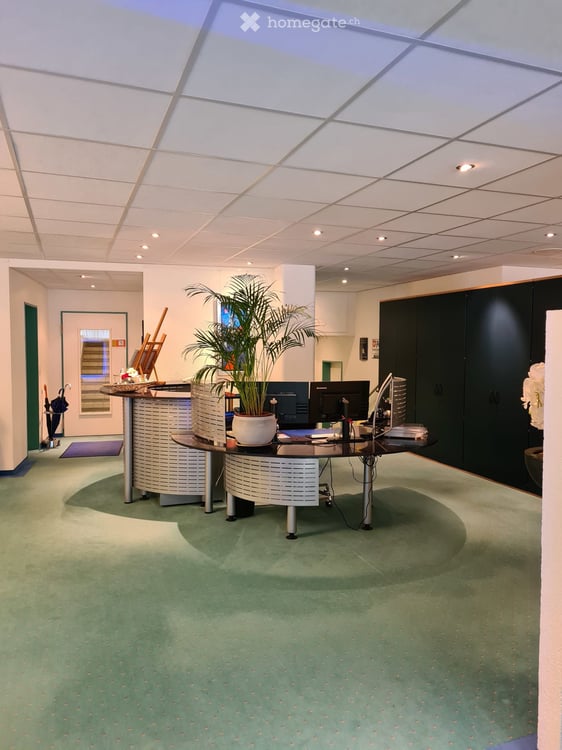 Repräsentative Bürofläche direkt am Sternen Oerlikon 3