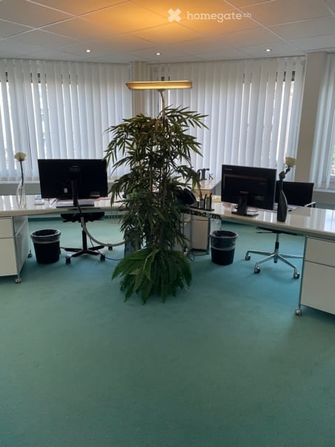 Repräsentative Bürofläche direkt am Sternen Oerlikon 9