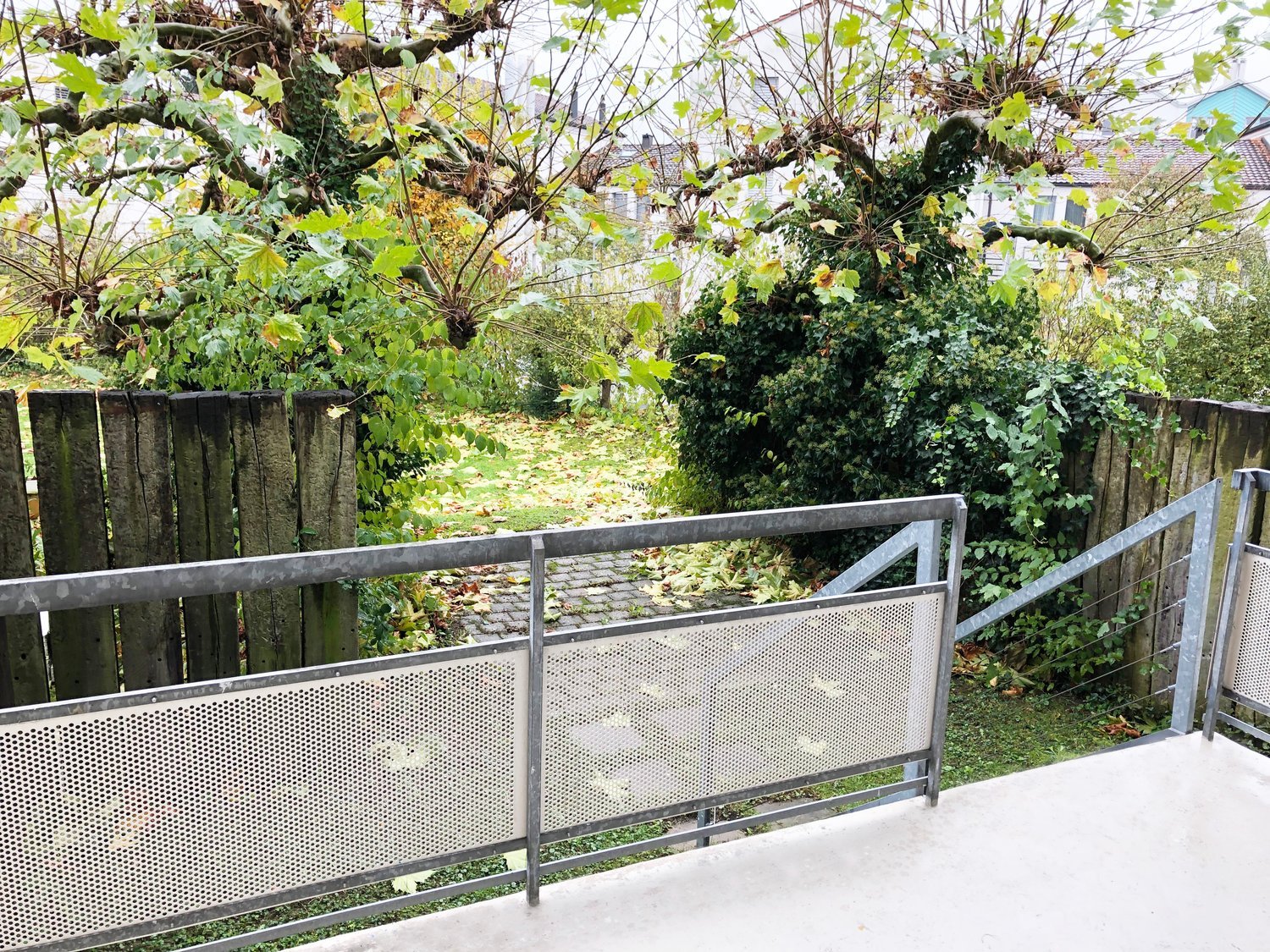 A garden area enclosed by a wooden fence and metal gate, with lush greenery and trees, and a concrete pathway leading to the gate.