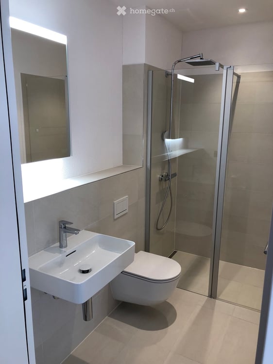Moderne 4.5-Zimmer-Attikawohnung mit 60m2 grosser Terrasse 4