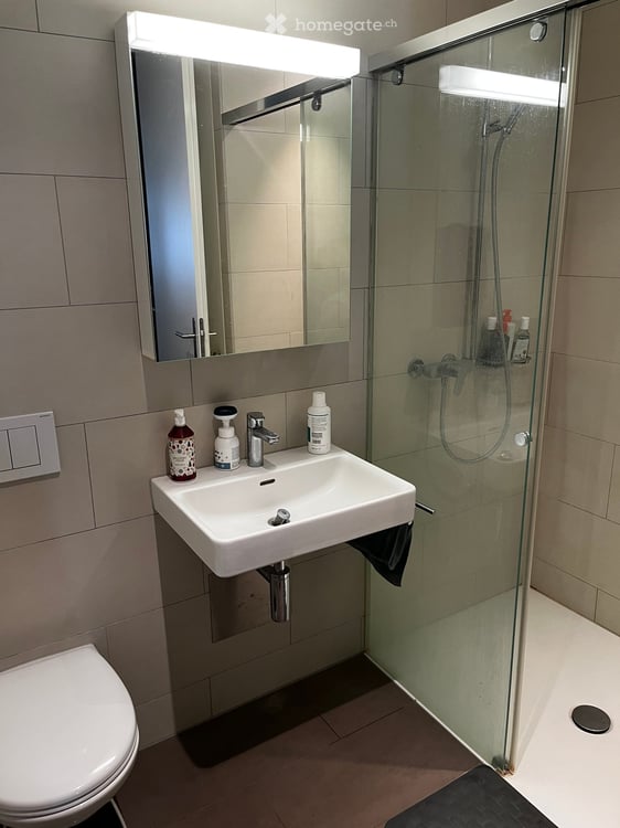 Sunny and Quiet 3.5-Room Apartment in Regensdorf – Available from October 2026 4