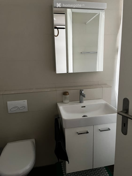 Sunny and Quiet 3.5-Room Apartment in Regensdorf – Available from October 2026 3