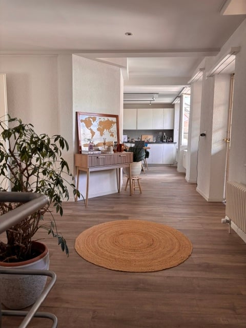 A modern, well-lit hallway with wooden flooring, a round woven rug, a small table with a plant and map, and a kitchen area visible in the background.