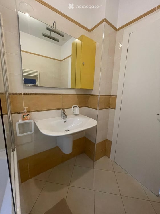 Lugano Cassarate - Ampio trilocale recentemente ristrutturato 19