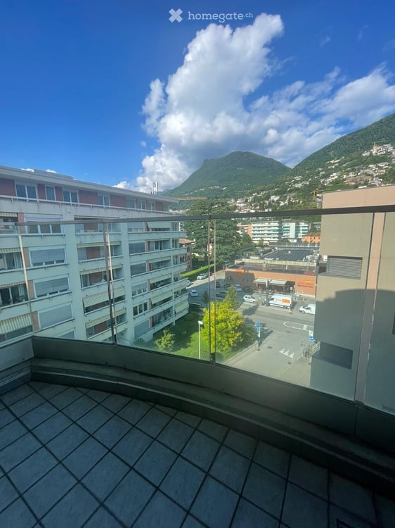 Lugano Cassarate - Ampio trilocale recentemente ristrutturato 8