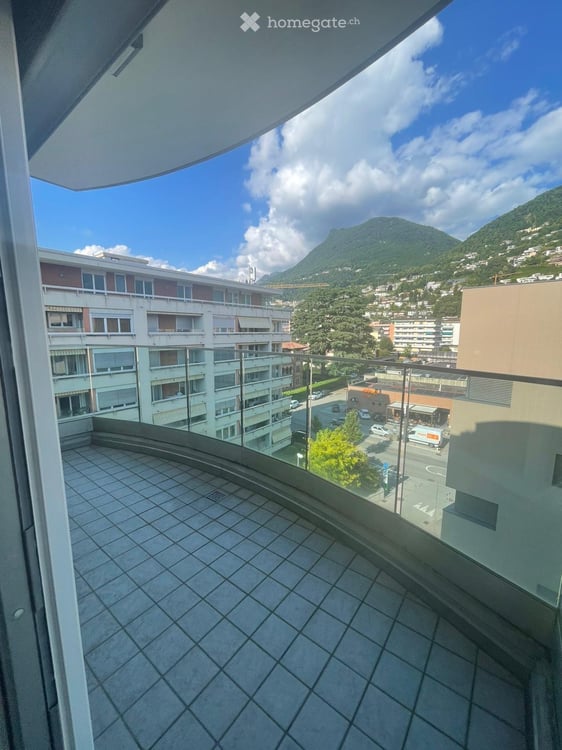 Lugano Cassarate - Ampio trilocale recentemente ristrutturato 30