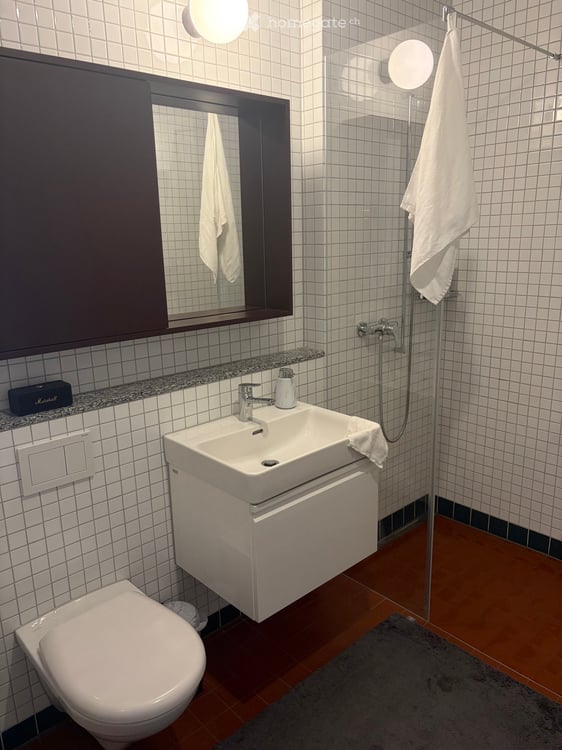 Lichtdurchflutete Neubauwohnung mit TG-Parkplatz & Balkon in Top Lage in Dietikon 6