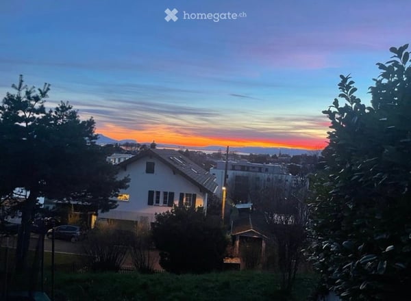 Spacious 6.5-Room Semi-Detached House with Stunning Views in Lausanne 17