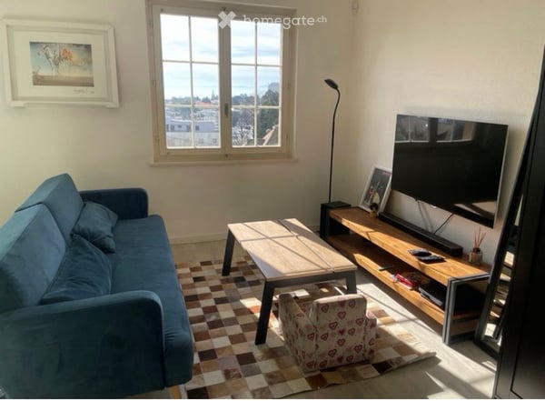 Spacious 6.5-Room Semi-Detached House with Stunning Views in Lausanne 11
