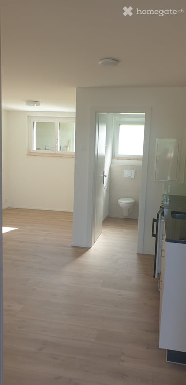 Modernes Studio-Apartment im Erdgeschoss in Nottwil  ideal für Wochenaufenthalter 5