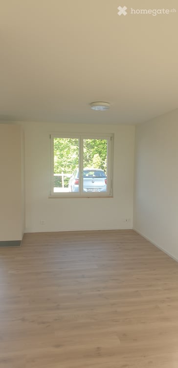 Modernes Studio-Apartment im Erdgeschoss in Nottwil  ideal für Wochenaufenthalter 2