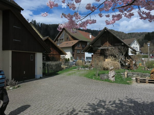 Charmantes 6.5-Zimmer-Doppelhaus in Zell ZH 4