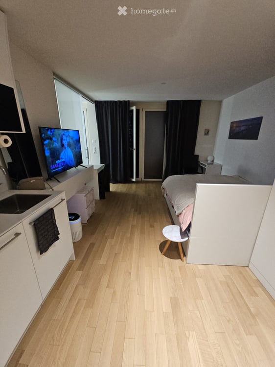 Temporary modern studio with balcony in Zürich 1