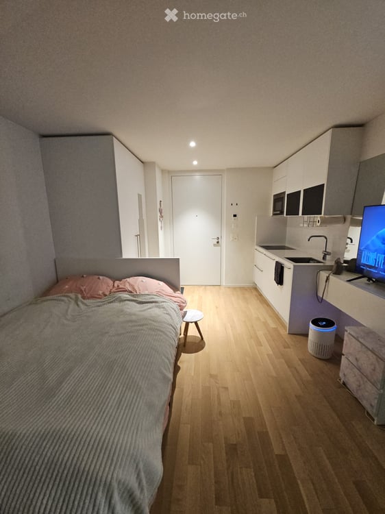 Temporary modern studio with balcony in Zürich 2