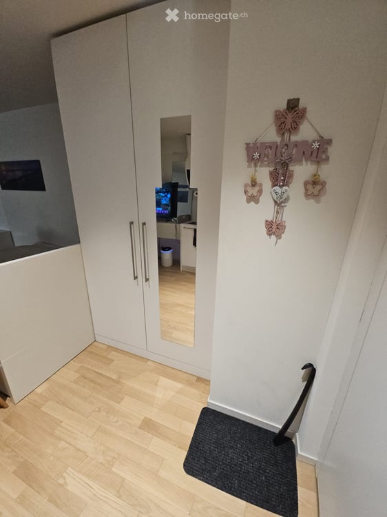 Temporary modern studio with balcony in Zürich 5