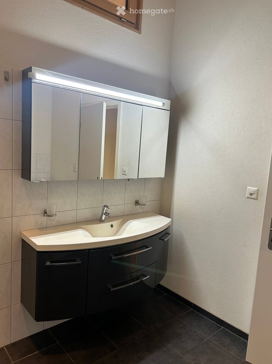 4.5-Zimmer- Attika Wohnung Wittinsburg – Modernes Gebäude in Holzbauweise Sonnig & Naturnah 18