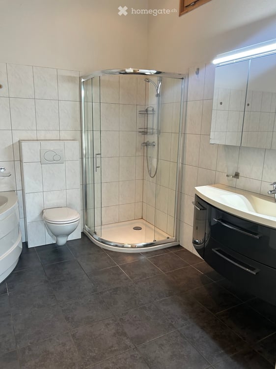 4.5-Zimmer- Attika Wohnung Wittinsburg – Modernes Gebäude in Holzbauweise Sonnig & Naturnah 15