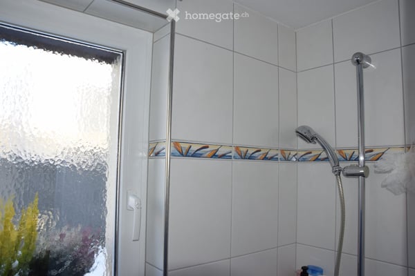 Freistehendes 5.5-Zimmer-Einfamilienhaus mit Wintergarten, Cheminée und traumhaftem Garten 15