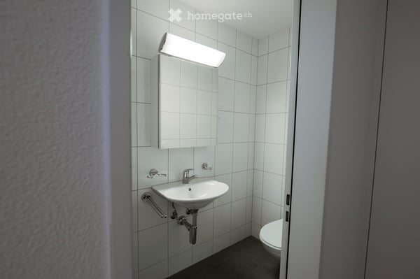 Helle 6.5-Zimmer-Wohnung mit Balkon und schoener Aussicht in Luzern 13