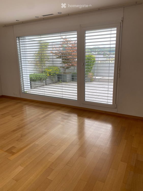 Moderne 4.5 Zimmer Attika-Wohnung (Minergie) 6