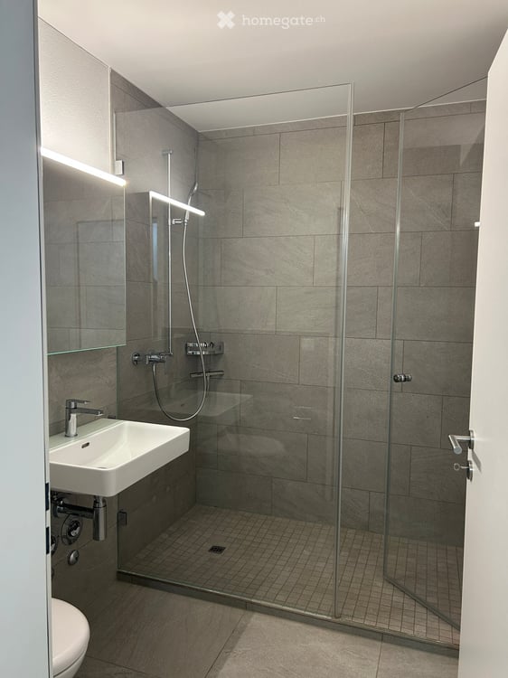 Nachmieter/in gesucht – schönes 1-Zimmer-Studio in Winterthur Töss 4