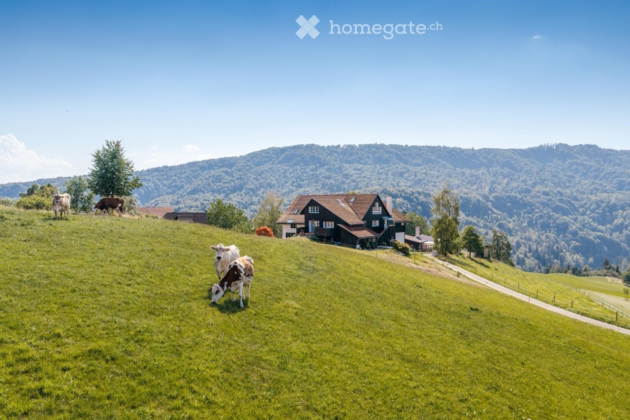 A picturesque countryside scene with a traditional house, cows grazing on a green hillside, and a scenic mountain backdrop.