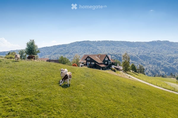 Aperçu de l'image de l'immobilier