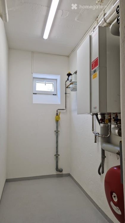 Charmantes 4.5 (5.5) -Zimmer-Einfamilienhaus in Zürich-Albisrieden – ab sofort verfügbar 13