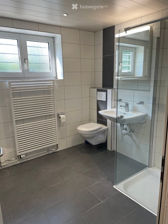 Charmantes 4.5 (5.5) -Zimmer-Einfamilienhaus in Zürich-Albisrieden – ab sofort verfügbar 10