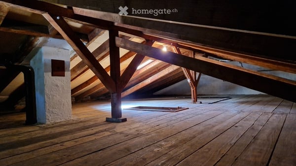 Charmantes 4.5 (5.5) -Zimmer-Einfamilienhaus in Zürich-Albisrieden – ab sofort verfügbar 24