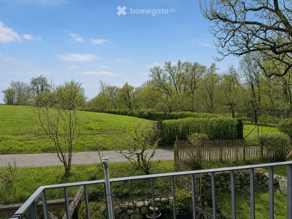 10.5-Zimmer-Hausteil in naturnaher Lage in Obfelden 12