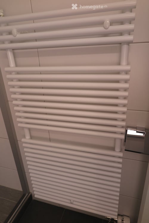Frisch renovierte 3.5‑Zimmer‑Wohnung mit 44 m² Balkon 5.7 m2 in Therwil (HP Nr. 4) 9