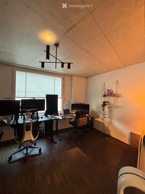 Grosszügige Neubauwohnung mitten in Zürich 6
