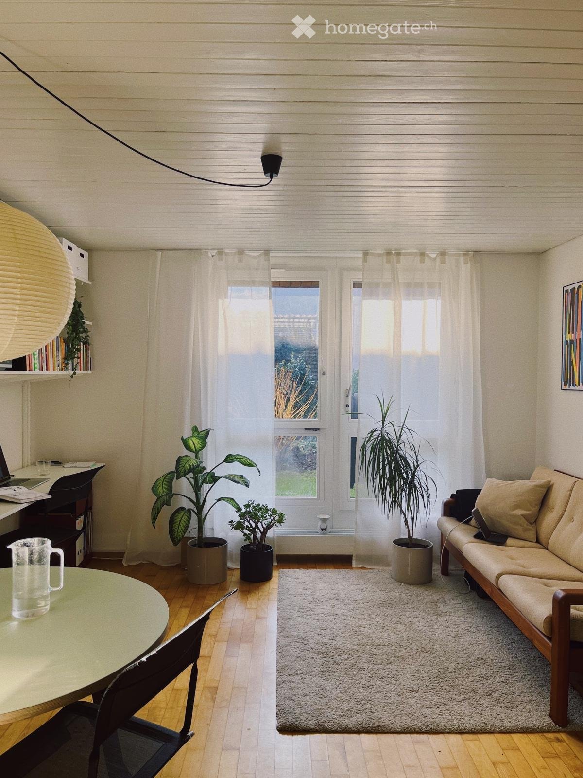 Bright living room with wooden flooring, large windows, a sofa, a coffee table, a dining table, and potted plants.