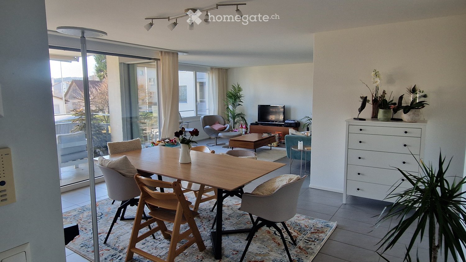 Bright living and dining area with large windows, modern furniture including a wooden dining table, chairs, sofa, TV, and decorative plants.