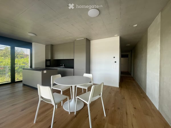 Moderno Appartamento con Terrazza a Mendrisio con SPA – Nuova Costruzione 2026 8