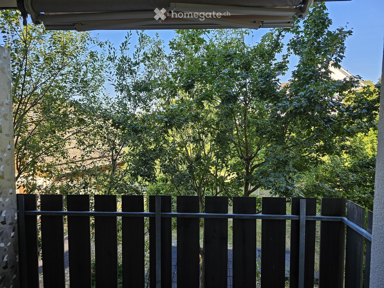 A view through a wooden fence shows a lush, green garden with tall trees and a clear blue sky above.