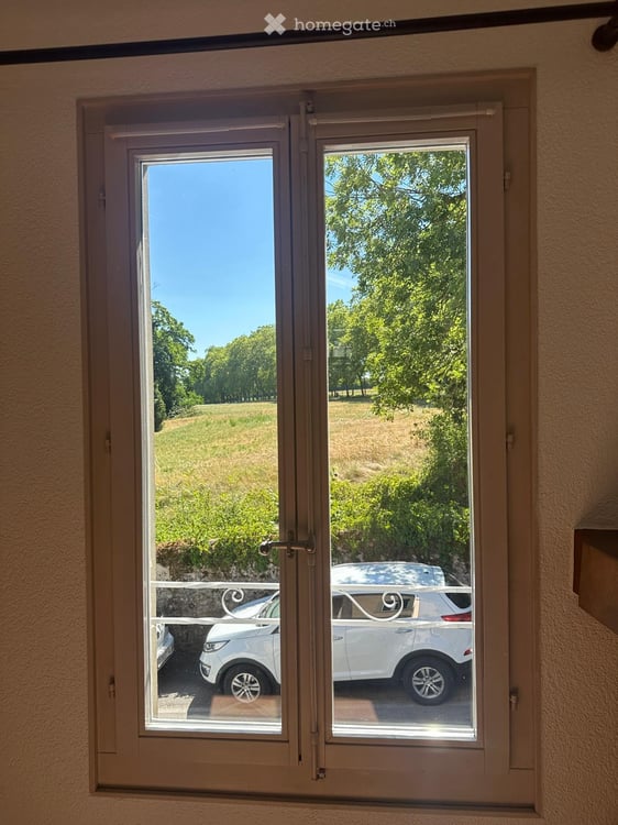 Maison historique avec terrasse au cœur de Coppet 17